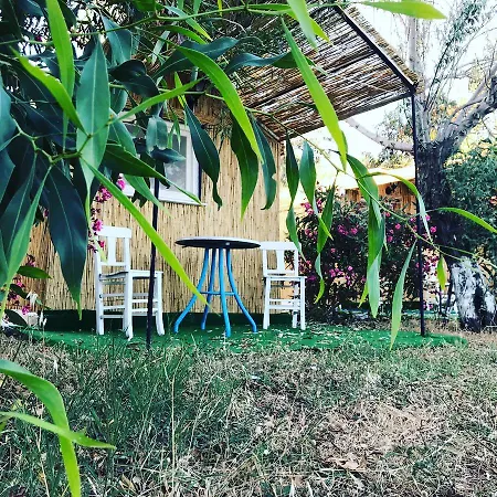 Ekolojik Tatil Koeyue 리조트 Çeşme