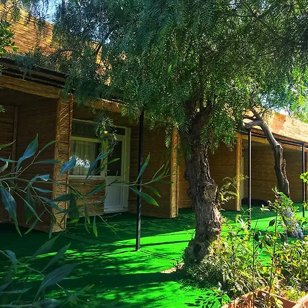 리조트 Ekolojik Tatil Koeyue Çeşme